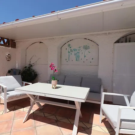 Ventolera * ネルハ